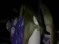 Dog's dick got knotted to a whore's wet pussy